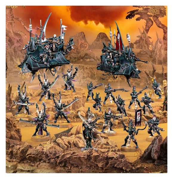 COMBAT PATROL DRUKHARI
